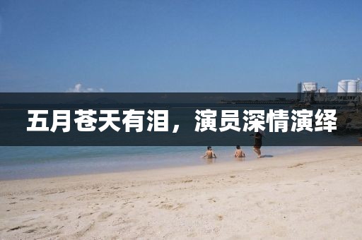 五月苍天有泪，演员深情演绎