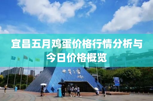 宜昌五月鸡蛋价格行情分析与今日价格概览