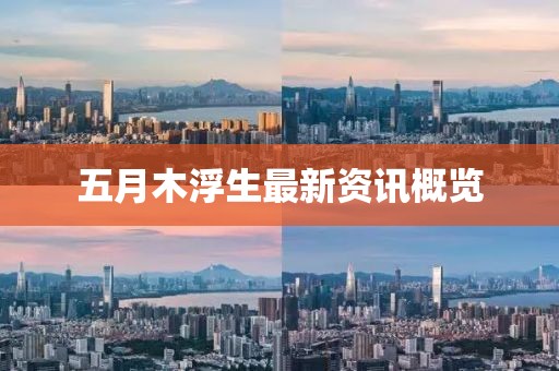 五月木浮生最新资讯概览