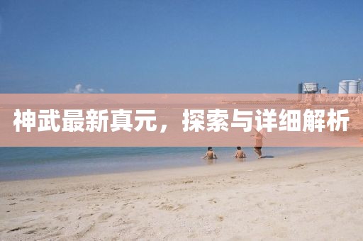 神武最新真元，探索与详细解析