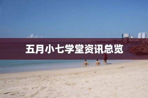 五月小七学堂资讯总览