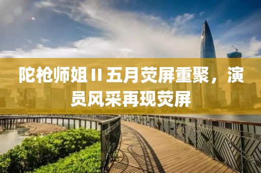 陀枪师姐Ⅱ五月荧屏重聚，演员风采再现荧屏
