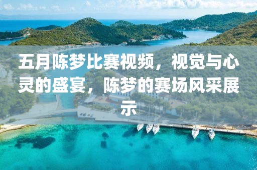 五月陈梦比赛视频，视觉与心灵的盛宴，陈梦的赛场风采展示
