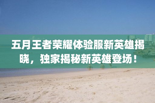 五月王者荣耀体验服新英雄揭晓，独家揭秘新英雄登场！