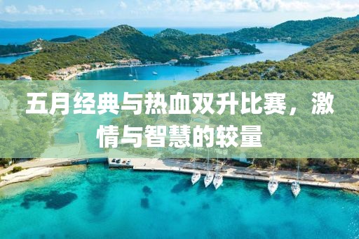 五月经典与热血双升比赛，激情与智慧的较量