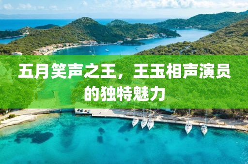 五月笑声之王，王玉相声演员的独特魅力