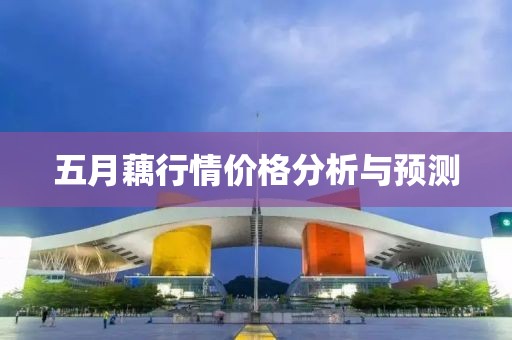 五月藕行情价格分析与预测