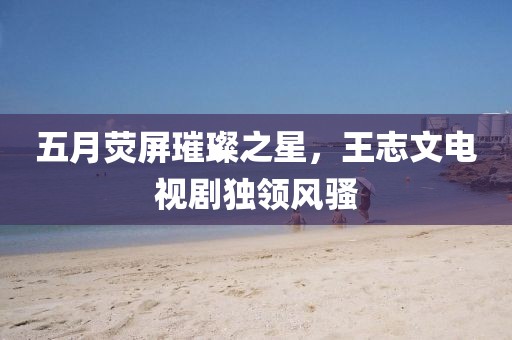 五月荧屏璀璨之星，王志文电视剧独领风骚