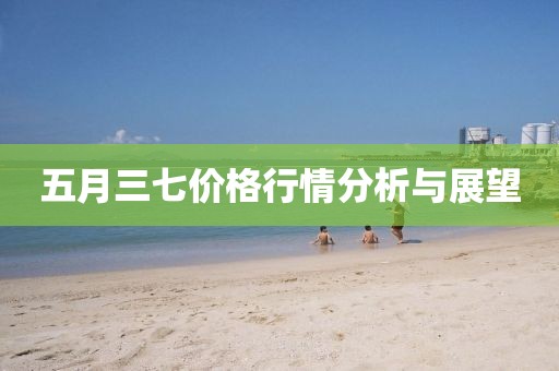 五月三七价格行情分析与展望