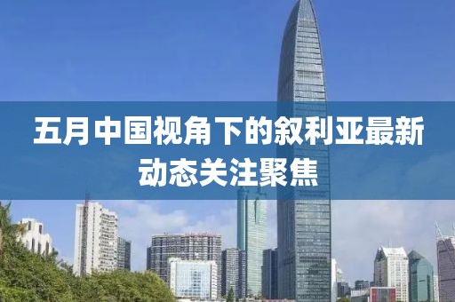 五月中国视角下的叙利亚最新动态关注聚焦