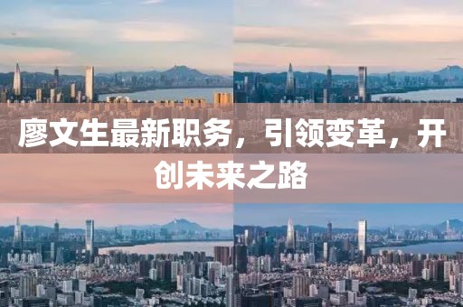 廖文生最新职务，引领变革，开创未来之路