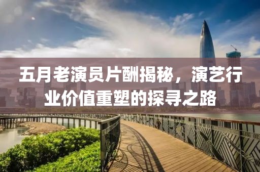 五月老演员片酬揭秘，演艺行业价值重塑的探寻之路