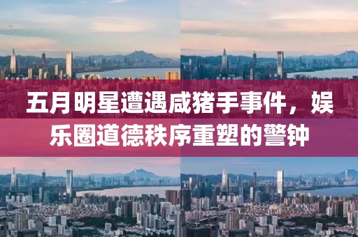 五月明星遭遇咸猪手事件，娱乐圈道德秩序重塑的警钟