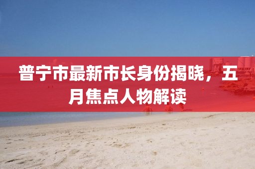 普宁市最新市长身份揭晓，五月焦点人物解读