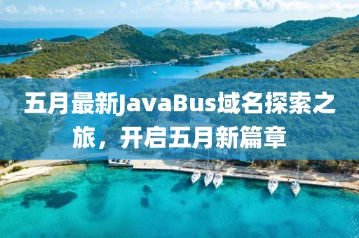 五月最新JavaBus域名探索之旅，开启五月新篇章