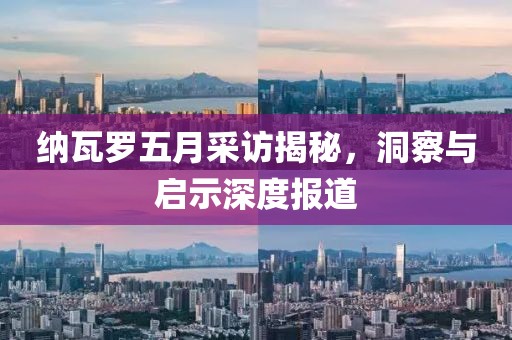 纳瓦罗五月采访揭秘，洞察与启示深度报道