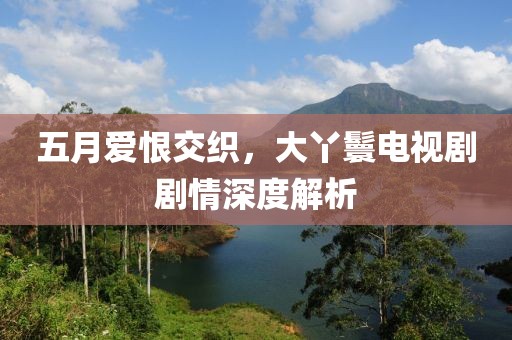 五月爱恨交织，大丫鬟电视剧剧情深度解析
