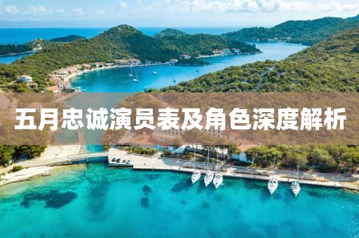 五月忠诚演员表及角色深度解析