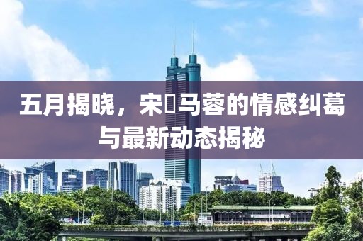 五月揭晓，宋喆马蓉的情感纠葛与最新动态揭秘