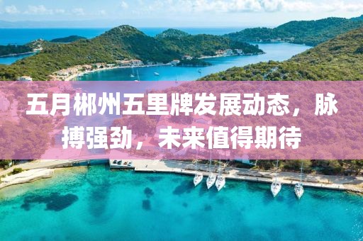 五月郴州五里牌发展动态，脉搏强劲，未来值得期待