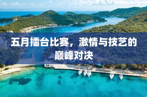 五月擂台比赛，激情与技艺的巅峰对决