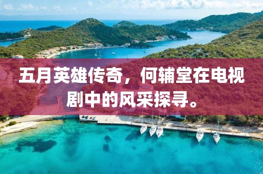 五月英雄传奇，何辅堂在电视剧中的风采探寻。