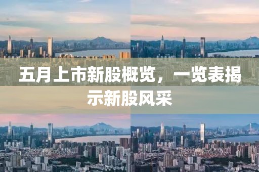 五月上市新股概览，一览表揭示新股风采