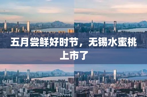 五月尝鲜好时节，无锡水蜜桃上市了