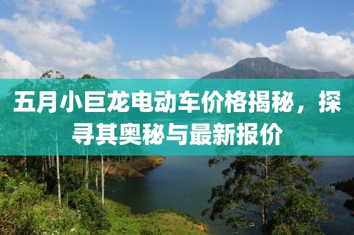 五月小巨龙电动车价格揭秘，探寻其奥秘与最新报价