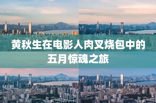 黄秋生在电影人肉叉烧包中的五月惊魂之旅