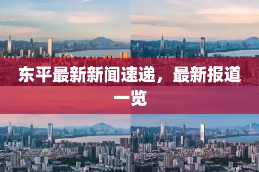 东平最新新闻速递，最新报道一览
