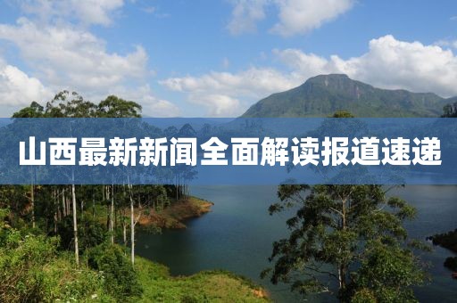 曾言河山 第28页