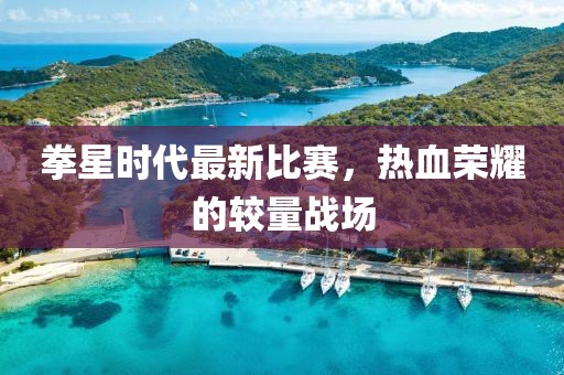 拳星时代最新比赛，热血荣耀的较量战场