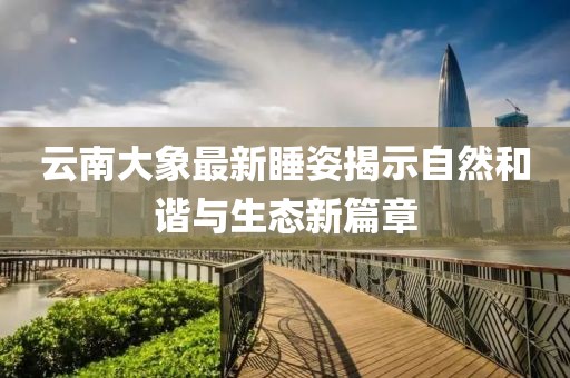 云南大象最新睡姿揭示自然和谐与生态新篇章