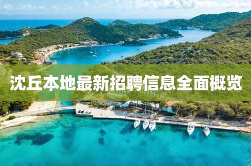 沈丘本地最新招聘信息全面概览