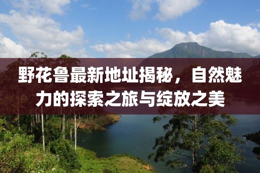 野花鲁最新地址揭秘，自然魅力的探索之旅与绽放之美