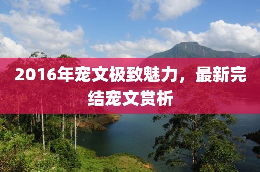 2016年宠文极致魅力，最新完结宠文赏析