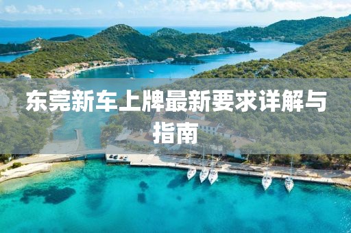 东莞新车上牌最新要求详解与指南