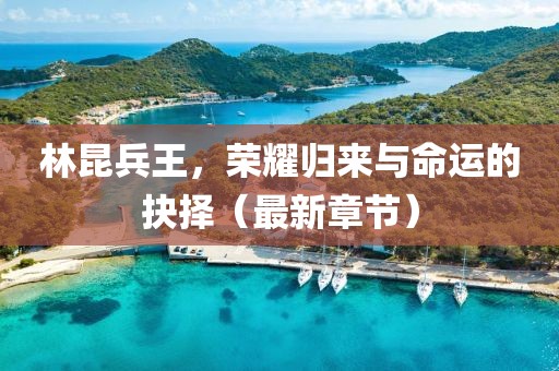 林昆兵王，荣耀归来与命运的抉择（最新章节）