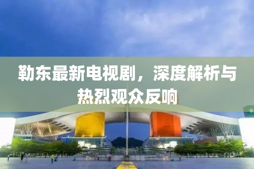 勒东最新电视剧，深度解析与热烈观众反响