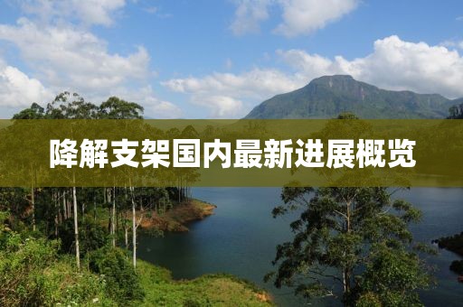 降解支架国内最新进展概览