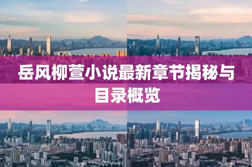 岳风柳萱小说最新章节揭秘与目录概览