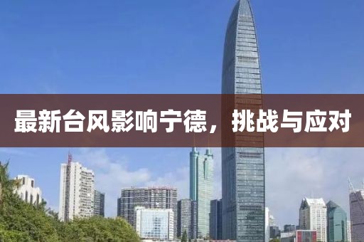 最新台风影响宁德，挑战与应对
