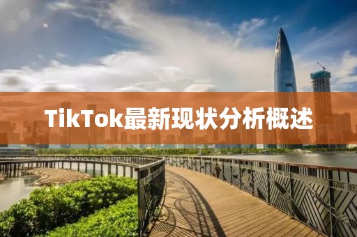 TikTok最新现状分析概述