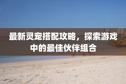 最新灵宠搭配攻略，探索游戏中的最佳伙伴组合