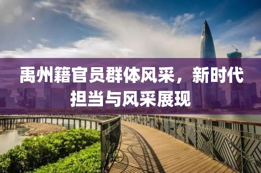 禹州籍官员群体风采，新时代担当与风采展现