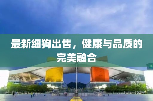 最新细狗出售，健康与品质的完美融合