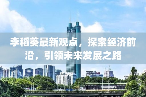 李稻葵最新观点，探索经济前沿，引领未来发展之路