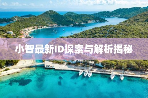 小智最新ID探索与解析揭秘