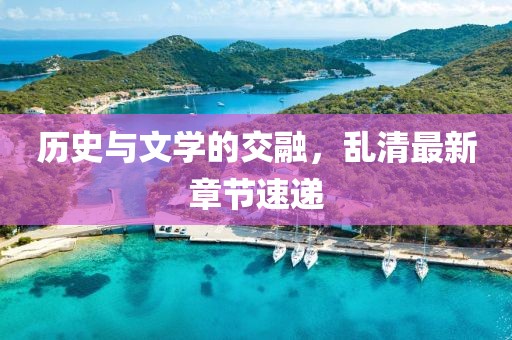 历史与文学的交融，乱清最新章节速递
